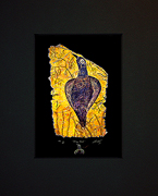 Blue Bird Vegrandis Print     Edition: 200